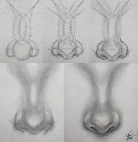 Drawing A Nose, Drawing Tutorial Face, Drawing Eyes, Nose Drawing, Drawing Faces, Contour Drawing, Step Drawing, Pencil Art Drawings, The Nose