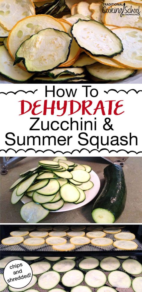 What do you do when zucchini and summer squash are exploding in your garden? Make chips, noodles or shreds! These recipes are the perfect, low carb healthy snacks and make for quick and easy meals. You can dehydrate them in your dehydrator or in your oven! #zucchini #squash #dehydrator #recipes #chips #noodles Dehydrated Squash Chips, Dehydrated Yellow Squash Chips, Dehydrating Summer Squash, Dehydrating Squash, Zucchini Chips Dehydrator, Dehydrated Squash, Low Carb Healthy Snacks, Dehydrating Zucchini, Dehydrate Zucchini