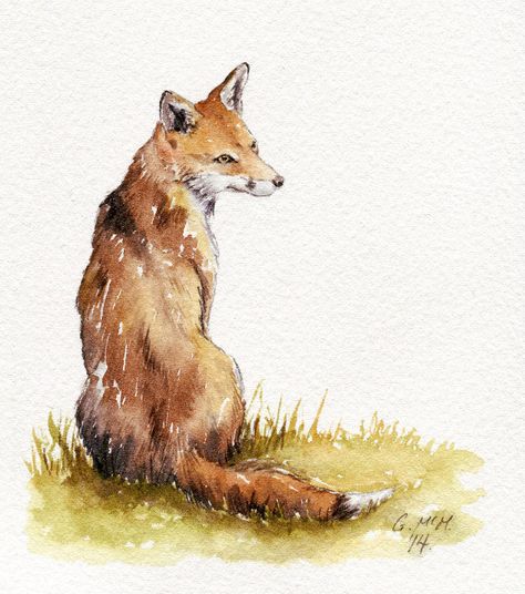 Fox sketch - watercolour. Watercolour Snowman, Fox Sketch, Acrylic Techniques, Christian Drawings, Watercolor Paintings Of Animals, Watercolor Art Journal, Animal Reference, Fox Painting, Fox Tattoo