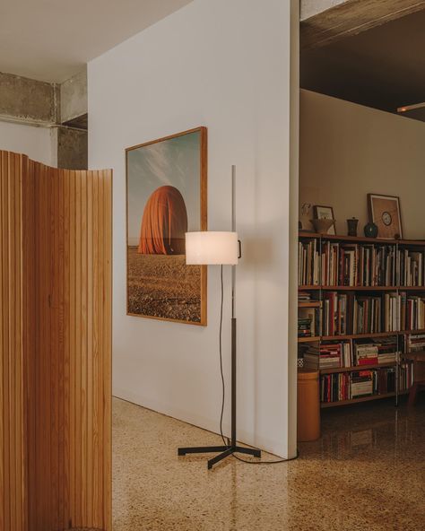 need on Twitter: "https://t.co/wGcwht5wTV" / Twitter Interior Simple, Santa Cole, Floor Lamp Design, Apartment Inspiration, A Living Room, Book Shelf, Interior Inspo, 인테리어 디자인, Interior Spaces