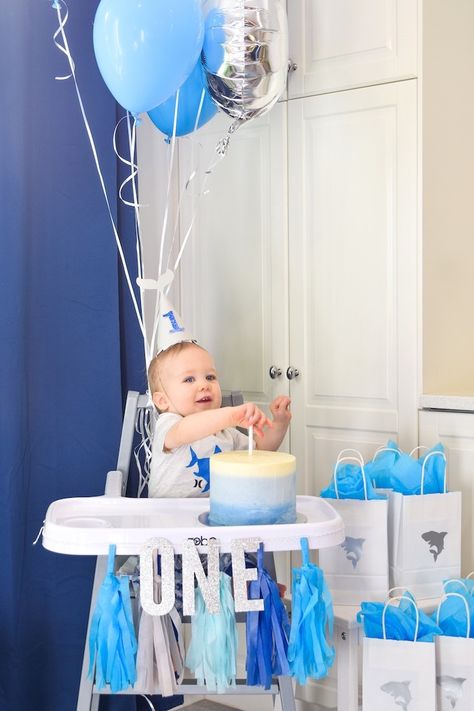 Shark Theme First Birthday, 1rst Birthday Boy, Baby Shark Birthday Party Boy, Baby Shark First Birthday, Baby Shark Party Ideas, Shark First Birthday, Shark Party Ideas, Baby Shark Party, Theme First Birthday