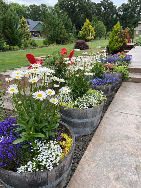 Beautiful Home Gardens, Container Garden Design, Cottage Garden Design, Flower Pots Outdoor, Garden Whimsy, Rock Garden Landscaping, Back Yard Ideas, Backyard Landscape, Garden Containers