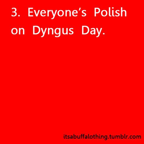 itsabuffalothing Buffalo Quotes, Learning Polish, Dyngus Day, Polish Heritage, Buffalo Art, Polish Food, Sounds Good To Me, The Longest Journey, Love Joy Peace