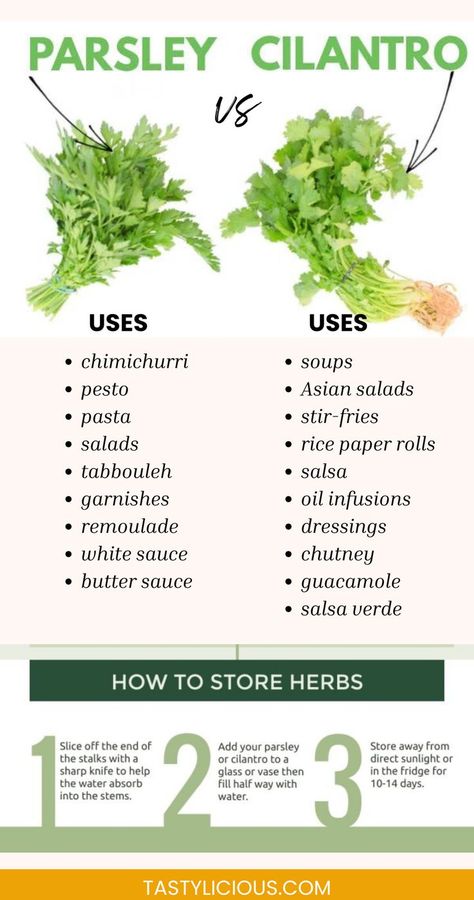 parsley and cilantro difference parsley cilantro what is the difference herbs and spices combinations aromatics combinations guide What To Do With Cilantro, Spices Combinations, Cilantro Benefits, Parsley Benefits, Cilantro Plant, Parsley Recipes, Spiritual Garden, Spice Combinations, Thai Salads