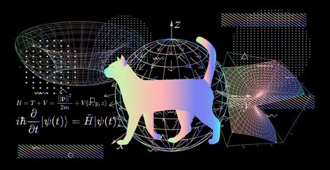 Classical Physics, Quantum Consciousness, Wave Function, Quantum World, Special Relativity, Nobel Prize In Physics, Scientific Revolution, Schrödinger's Cat, Quantum Entanglement