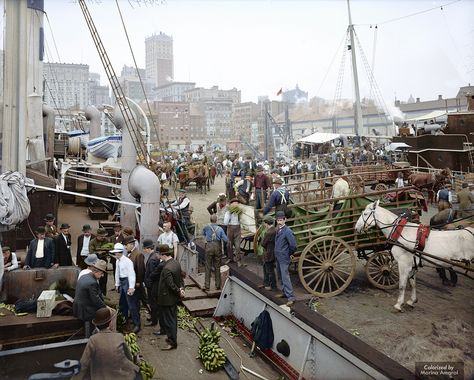 https://flic.kr/p/FVWi3u | Banana docks, New York, ca. 1890-1910 | The Old Slip piers along the East River, just below the end of Wall Street, used to be known as the Banana Docks for its frequent fruit shipments from around the world, including ships containing hundreds of bushels of bananas. Colorized Historical Photos, Search History, Colorized Photos, East River, Uss Enterprise, Nova York, Bw Photo, Historical Photos, Old Pictures