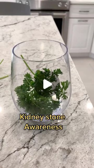 179K views · 10K likes | Anne Caserta on Instagram: "I was in the hospital with kidney stones. The doctors told me to drink parsley and water. With lemon. #kidneystones" Clean Kidneys, Water With Lemon, Homeopathy Remedies, Kidney Stone, Kidney Cleanse, Kidney Health, In The Hospital, January 22, Diy Health