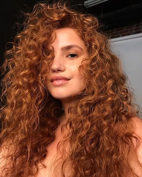 ✨ Bree Kish ✨ on Instagram: “🦁 @hairbyashleyh @danadelaney @jenncollins” Curly Ginger Hair, Bree Kish, Red Hair Brown Eyes, Curly Color, Red Curly Hair, Ginger Hair Color, Girl With Brown Hair, Natural Curls Hairstyles, Wavy Curly Hair