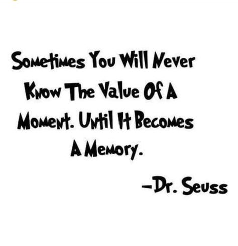 Dr Seuss Quotes, Seuss Quotes, Senior Quotes, Dr Suess, Disney Quotes, Window Wall, Dr Seuss, The School, Meaningful Quotes