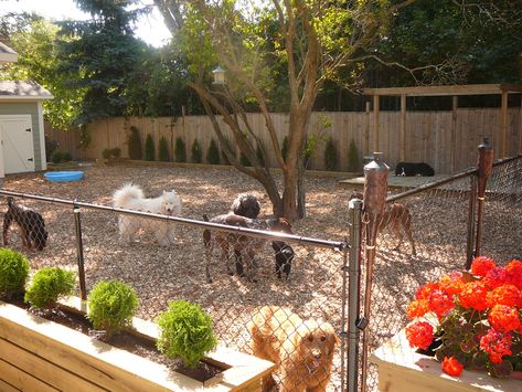 Backyard Dog Area, Dog Potty Area, Dog Friendly Backyard, Dog Backyard, Dog Toilet, Dog Yard, Dog Playground, Dog Potty, Dog Playpen