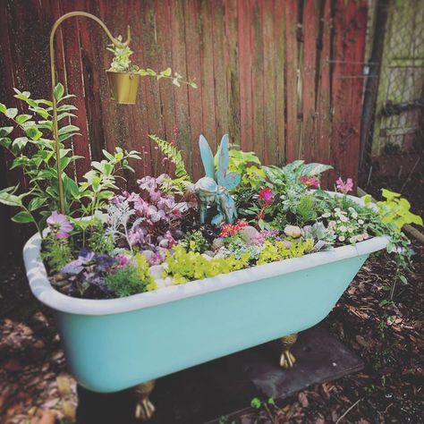 Lindsey on Instagram: “When I'm not inside messing with plants, I'm outside getting dirty. Tub garden in and ready to rock!  Hell yeah summer, bring it! 🤘🏻🌿🛁 • •…” Bathtub Garden, Outdoor Stuff, Reduce Reuse Recycle, Clawfoot Tub, Bath Room, Plant Mom, Hell Yeah, Plant Lady, Urban Jungle