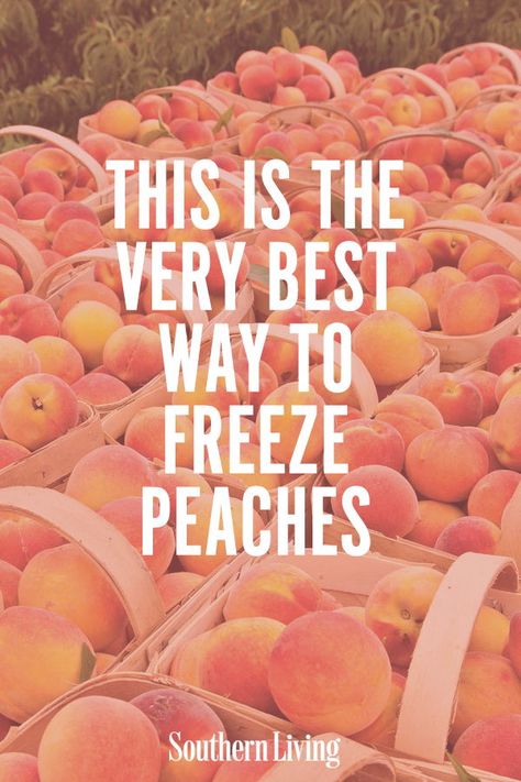 Amish Pie, Freezing Peaches, Peach Freezer Jam, Freezing Fruit, Freezing Vegetables, Canning Peaches, Home Canning Recipes, Canning Food Preservation, Southern States