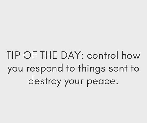 Ignore The Negativity Quotes, No Room For Negativity Quotes, Ignore The Noise Quotes, Being Around Negative People Quotes, Quotes About Ignoring Negativity, Calm People Quotes, Staying Calm Quotes, How To Ignore Negative People, Ignore Negative People Quotes