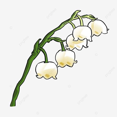 Lily Of The Valley Png, Tomboy Art, 1. Mai, Lily Of The Valley Flowers, Valley Flowers, Easy Halloween Crafts, Nature Stickers, Hand Drawn Flowers, White Lilies