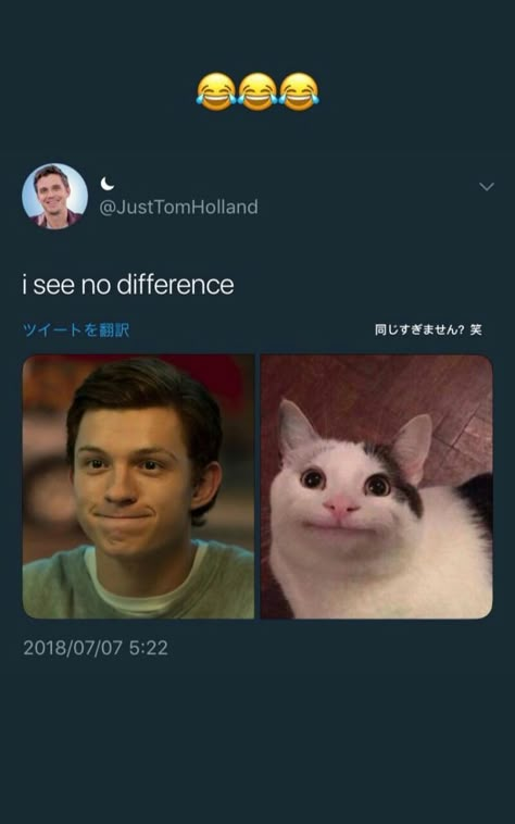 Tom Holland Frog Mouth, Tomholland Spiderman, Teen Wolf Memes, Funny Marvel, Funny Marvel Memes, Tom Holland Spiderman, Marvel Avengers Funny, Dc Memes, Avengers Memes