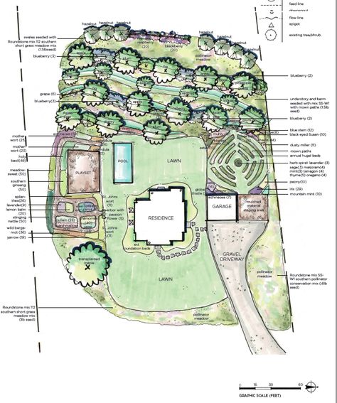 A Home-Scale Food Forest | Shades of Green Blog Food Forest Design, Permaculture Food Forest, Homestead Layout, Backyard Food, Garden Planning Layout, Home Steading, Orchard Design, Food Forest Garden, Pizza Sandwich