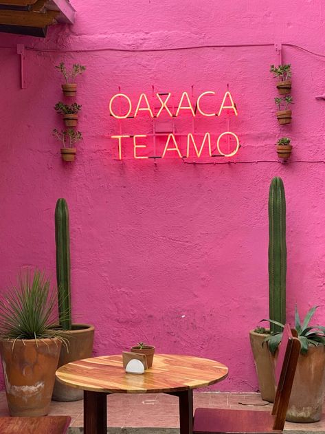 Oaxaca Travel, Best Restaurants, Travel Guide, Make Your, Wall, Pink, Travel, Art, Travel Guides