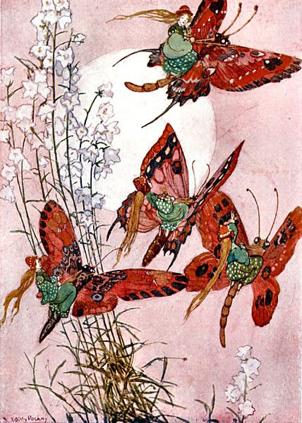 The Fairy Folk 34 Scottish Faeries, Irish Fairy Art, Faerie Folk Art, Willy Pogany, Vintage Flower Fairy Illustration, Vintage Fairy Postcards, Military Cards, Fairy Folk, French Poster