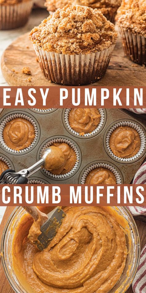 Pumpkin Crumb Muffins Thanksgiving Muffins, Best Pumpkin Muffins, Crumb Muffins, Bakery Style Muffins, Halloween Food Treats, Healthy Muffin Recipes, Pumpkin Chocolate Chips, Pumpkin Muffins, Pumpkin Cake