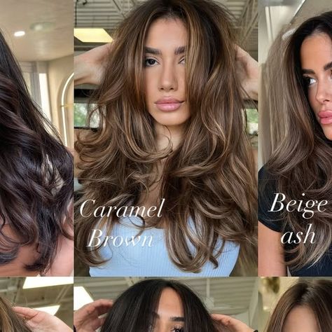 Diana Vivilecchia on Instagram: "This week’s it brunettes 🤎
Warm cool neutral balayage. High impact , natural, whisper brunette.  It’s your hair your style your choice. Let’s make that happen for you all . Link in bio to reserve your appointment. 
HairColorist: Diana Vivi 
Heading to Tampa Florida to share my unfiltered era balayage techniques. Haircolorist here’s your last chance to purchase your ticket." Whisper Brunette, Neutral Balayage, Balayage Techniques, Balayage Technique, Ash Brown, Tampa Florida, Brunettes, Last Chance, Balayage