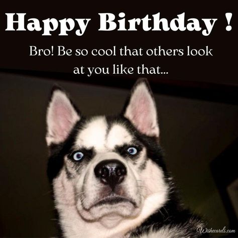 Birthday For Brother, Happy Birthday Brother Funny, Electronic Birthday Cards, Birthday Images For Men, Birthday Brother Funny, Birthday Present For Brother, Brother Images, Funny Happy Birthday Images, Happy Birthday My Friend