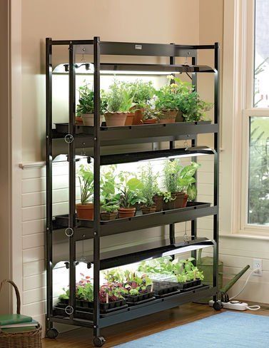 Inexpensive way to create mini green houses to start your own seedlings! Plant and grow your own vegetables by starting them from seed, easy and frugal! Grow Light Stand, Indoor Grow Lights, Indoor Vegetables, Indoor Greenhouse, Garden Shelves, Tiered Garden, Indoor Vegetable Gardening, Grow Lights For Plants, Survival Gardening