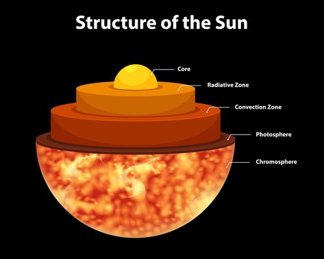 Diagram showing structure of the sun Sun Diagram, Sun Allergy, Solar System Projects, Sun Drawing, Sun Projects, Neutron Star, Diagram Design, Space And Astronomy, Earth Science