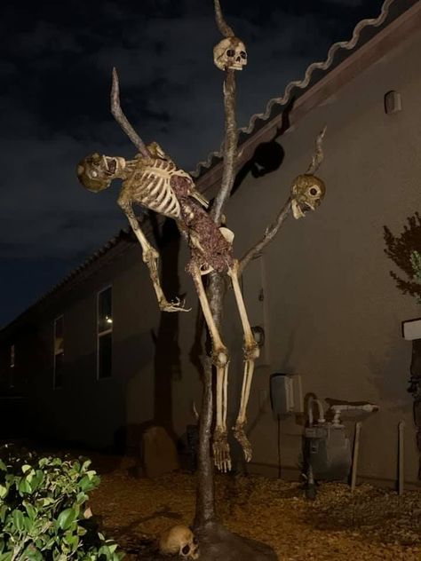 Slytherin Halloween, Cool Halloween Decorations, Halloween Outside Decor, Skeletons For Halloween, Horror Items, Halloween Iv, Halloween Yard Decorations Diy, Creepy Woods, Halloween Yard Displays