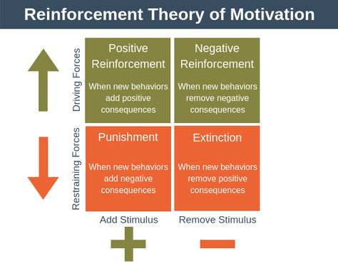 Reinforcement Theory of Motivation - Team Motivation Training Workplace Motivation, Motivate Employees, Motivation Theory, Business Strategy Management, Operant Conditioning, Behavioral Psychology, Team Motivation, Learned Behaviors, Organizational Behavior