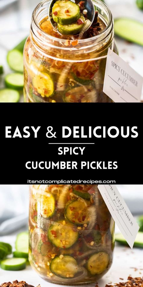 These Spicy Cucumber Pickles are a fantastic, easily-made condiment that will elevate the flavour of many dishes. With the cucumbers, we include the vibrant flavours of onion, fragrant star anise, spicy dried chilli flakes and the warmth of fresh ginger to take these Cucumber Pickles to new heights. Spicy Pickles Homemade, Cucumber Pickles Canning, Spicy Pickles Homemade Easy, Pickles Cucumbers Recipe, Cucumber Pickles Recipes, Homemade Pickle Recipes Dill, Spicy Pickles Recipe, Fresh Pickles, Asian Pickles Recipe