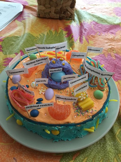 Animal Cell Model Edible, Edible Cell Project Ideas Animals, Cell Cake Project Ideas, Edible Animal Cell Project Ideas, Edible Cell Project Ideas, Edible Animal Cell Project, Animal Cell Cake Project, Cell Cake Project, Edible Cell Model