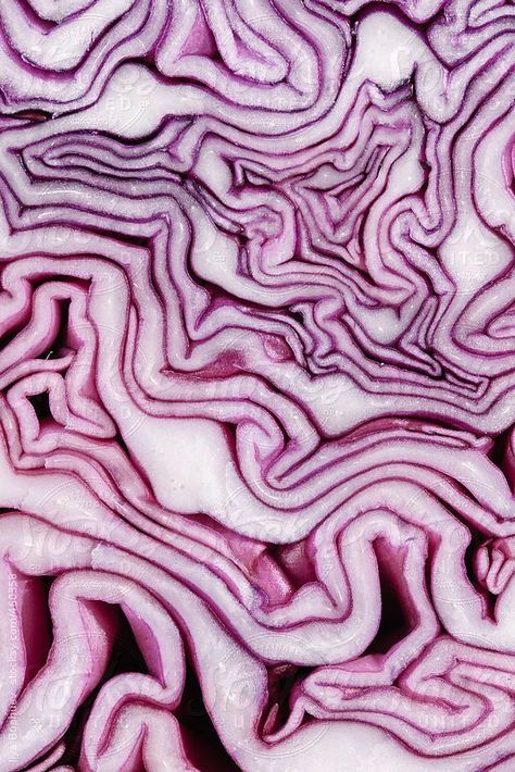 Vegetable Background, Foto Macro, Natural Form Art, Pattern Photography, Food Texture, Texture Inspiration, Texture Photography, Gcse Art, Red Cabbage