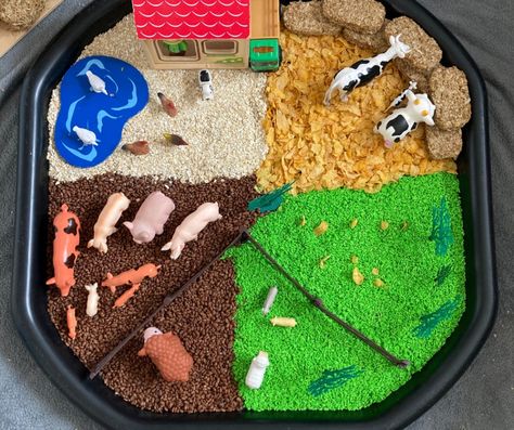 Farm Tuff Tray Ideas Preschool, On The Farm Tuff Tray, Farm Animal Tuff Tray, Farm Animals Tuff Tray Ideas, Farm Messy Play, Farm Tuff Tray Ideas, Animal Tuff Tray Ideas, Cousin Birthday Quotes, Baby Room Activities