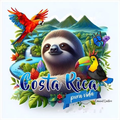 Costa Rica Pura Vida, Travel Clipart, Costa Rican, Ecuador, Costa Rica, Graffiti, Travel, Quick Saves