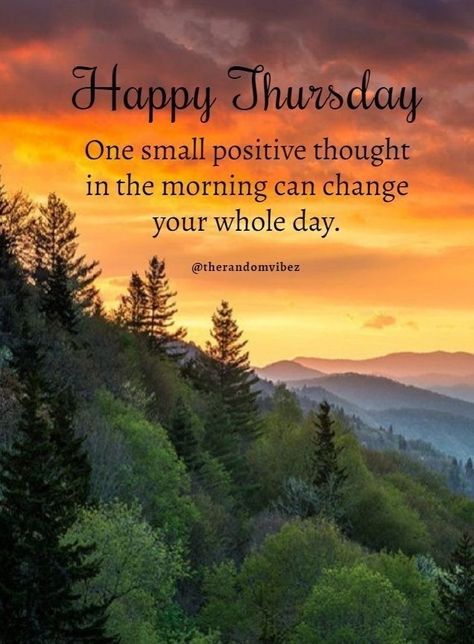 Quotes For Thursday, Thursday Quotes Good Morning, Wonderful Day Quotes, Happy Teddy Day Images, Thursday Inspiration, Thursday Greetings, Spring Scenery, Happy Thursday Quotes, Evening Quotes