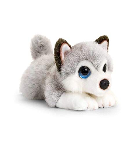 Skate Board Designs, Puppies Husky, Wolf Stuffed Animal, Dogs And Books, Puppy Husky, Paw Hand, Soft Toy Dog, Toys Uk, Birthday Toys