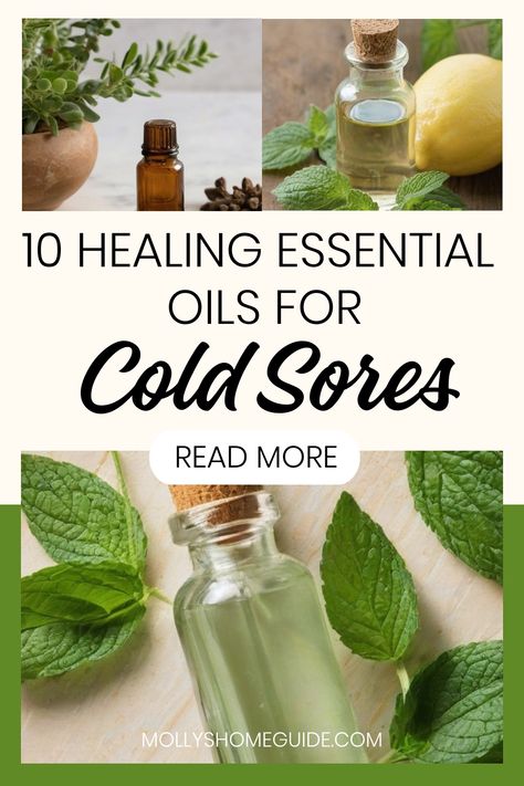 Explore the best essential oils for cold sores to find relief naturally. Discover effective blends and natural remedies perfect for combating cold sores. Get rid of cold sores with these top 10 essential oils known for their healing properties. Learn how to use essential oils for cold sore relief and prevention with our essential oil recipes. Say goodbye to discomfort and irritation by incorporating these powerful remedies into your routine today! Essential Oil Recipe For Cough, Essential Oil For Cold Sore, Cold Sore Remedy Overnight How To Get Rid, Best Cold Sore Remedy Overnight, How To Stop A Cold Sore Before It Starts, Natural Remedies For Cold Sores, Home Remedies For Cold Sores, Diy Cold Sore Remedy Fast, How To Get Rid Of Cold Sores