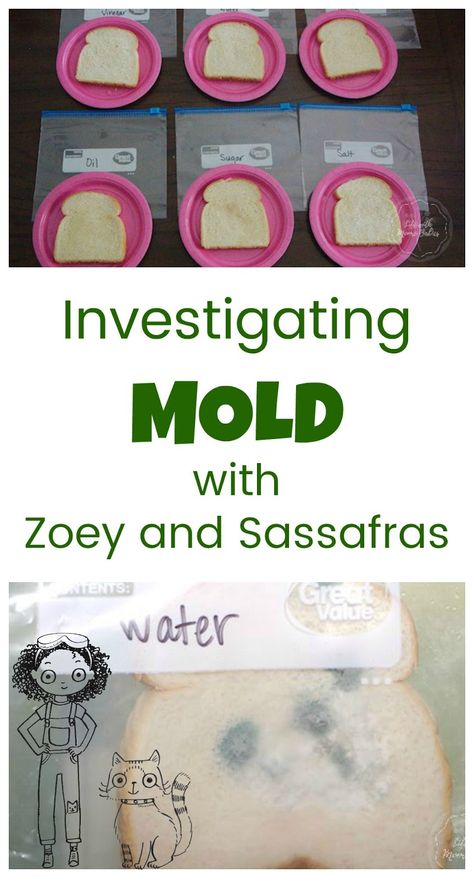 Growing and preventing mold is a fun, hands-on science activity for kids and pairs perfectly with the book, Zoey and Sassafras: Monsters and Mold. Experimental Art Ideas, Germs Preschool, Hero Bedroom, Winter Fairies, Learn Anatomy, Space Building, Brownie Ideas, Science Experiment For Kids, Experiment For Kids