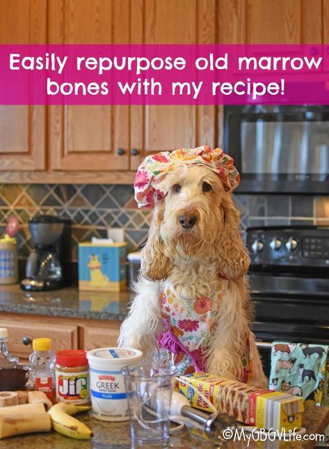 Easily Repurpose Old Marrow Bones With My Recipe - My GBGV Life Marrow Bones For Dogs, Natural Dog Remedies, Beef Marrow Bones, Pet Remedies, Dog Remedies, Diy Dog Treats, Healthy Dog Food Recipes, Stuffing Recipes, Dog Treat Recipes