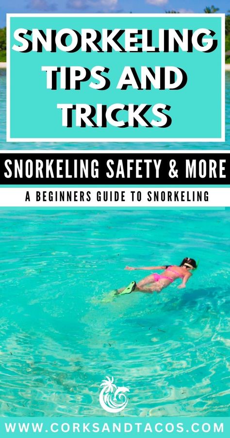 A lady is snorkeling in crystal clear water with snorkel fins and mask. How To Snorkel Underwater, Snorkeling Outfit Women, Snorkeling Hairstyles, Snorkeling Outfit, Snorkeling Tips, How To Snorkel, Underwater Exploration, Snorkel Gear, St Thomas Virgin Islands