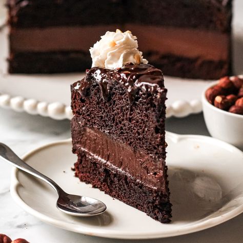 Chocolate Hazelnut Mousse Cake (vegan) - Project Vegan Baking Hazelnut Baking Recipes, Vegan Mousse Cake, Vegan Entremet, Chocolate Cake Vegan, Japonaise Cake, Vegan Hazelnut Cake, Moist Vegan Chocolate Cake, Vegan Ferrero Rocher Cake, Chocolate Hazelnut Mousse Cake