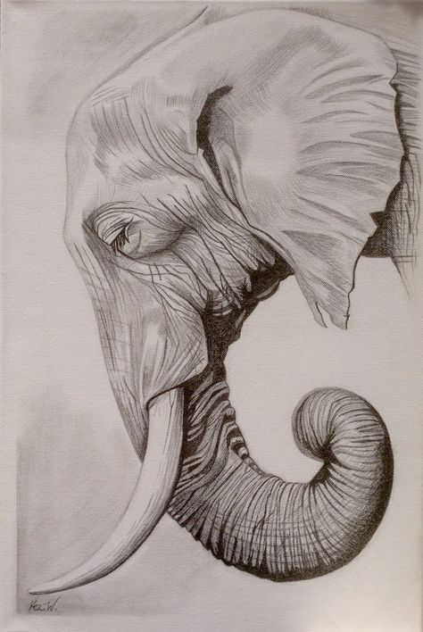 Elephant Art Drawing, Elephant Drawings, Elephant Sketch, Elephant Photography, Elephant Artwork, Pencil Drawings Of Animals, Elephant Drawing, Art Drawings Sketches Pencil, Elephant Painting