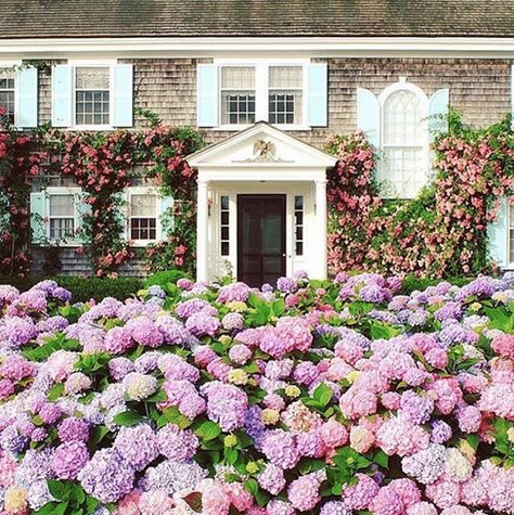 TGP TIDBITS: HILL HOUSE HOME, NANTUCKET, CELERIE KEMBLE, AND THE NORDSTROM ANNIVERSARY SALE - The Glam Pad House With Hydrangeas, Nantucket Houses, Shingle Cottage, Martha Vineyard, England Vacation, Celerie Kemble, Spring Cottage, Hill House Home, Nantucket Style