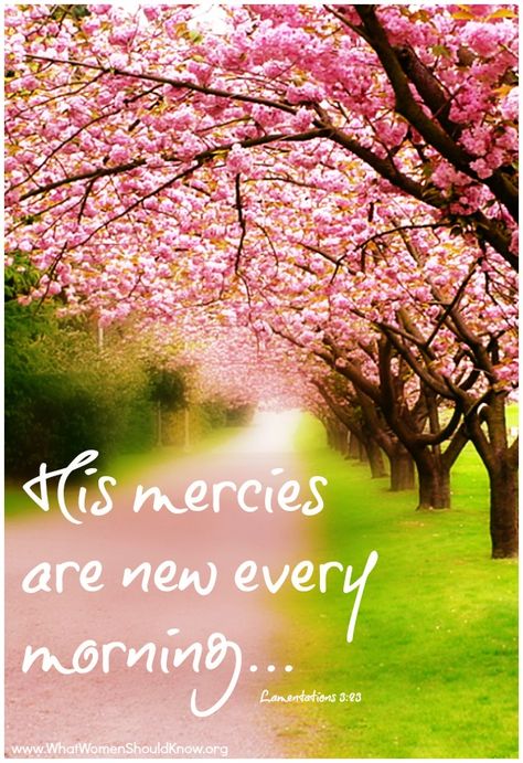 Mercy Quotes, Mercies Are New Every Morning, His Mercies Are New, New Mercies, Online Prayer, Bible Verse Background, Gods Mercy, New Every Morning, Asking For Forgiveness