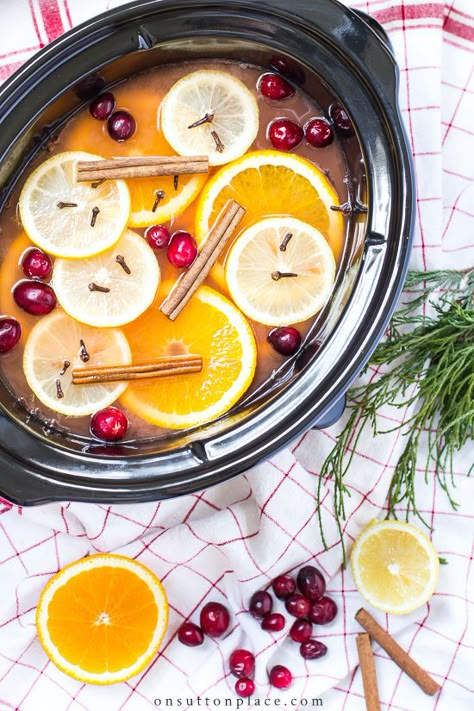 Wassail Recipe Crockpot, Wassil Recipe, Christmas Nibbles, Cozy Cocktails, Holiday Potpourri, White Sangria Recipe, Wassail Recipe, Best Hot Chocolate Recipes, Christmas Eats