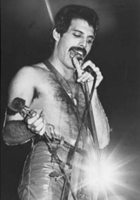 Freddie My Love, John Richard, Killer Queen, Just Believe, Bohemian Rhapsody, Freddie Mercury, Cool Websites, One Pic, Video Online