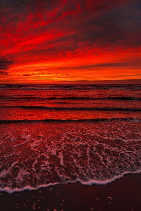 Red Aesthetic Grunge, Dark Red Wallpaper, I See Red, Red Pictures, Red Sunset, Orange Aesthetic, Red Walls, Red Wallpaper, Aesthetic Colors