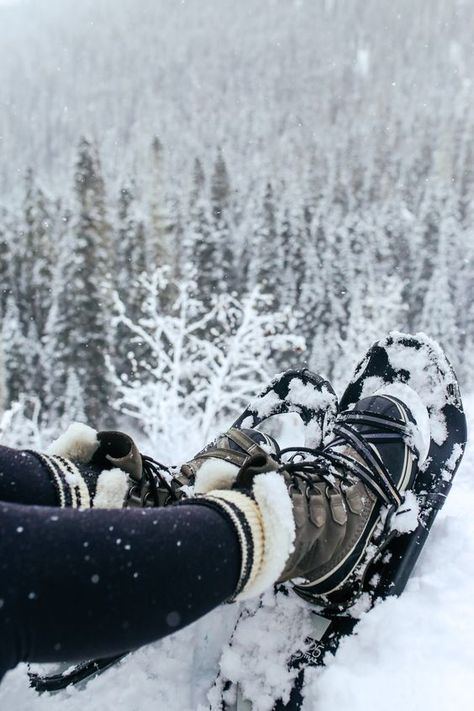 Homestead Clothing, Snow Shoeing, Ski Bunny, Photography Things, Reflexology Massage, Mountain Stream, Winter Photos, Winter Wood, Winter Sport