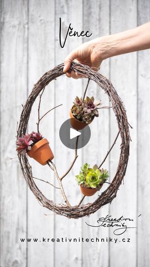 Plant Wreath, Cactus Arrangement, Succulent Planter Diy, Fleurs Diy, Small Flower Pots, Wreath Wall, Xmas Wreaths, House Plants Decor, Do You