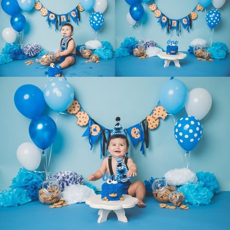 Cookie Monster Cake Smash Utah Photographer | Stacey Hansen Photography | Utah Newborn Photographer Monster Smash Cakes, Half Birthday Baby, Cookie Monster Birthday Party, Boys 1st Birthday Cake, Cake Smash Theme, Cookie Monster Cake, Monster 1st Birthdays, Cookie Monster Party, Cookie Monster Birthday